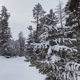 WhatsApp Image 2026-02-09 at 10.04.25 (1)