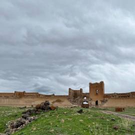 WhatsApp Image 2026-02-09 at 10.04.25 (10)