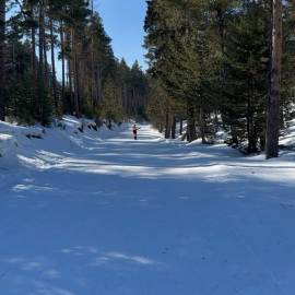 WhatsApp Image 2026-02-09 at 10.04.25 (2)