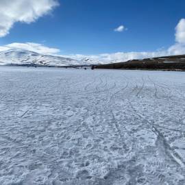 WhatsApp Image 2026-02-09 at 10.04.25 (3)