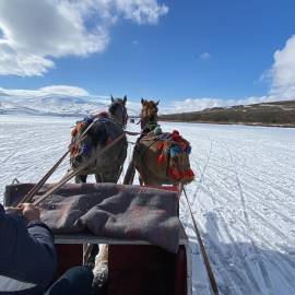 WhatsApp Image 2026-02-09 at 10.04.25 (4)