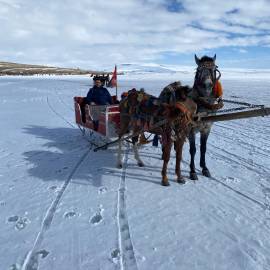 WhatsApp Image 2026-02-09 at 10.04.25 (5)