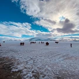 WhatsApp Image 2026-02-09 at 10.04.25 (6)