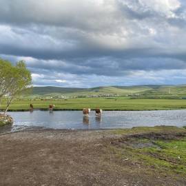 WhatsApp Image 2026-02-09 at 10.04.25 (7)