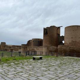 WhatsApp Image 2026-02-09 at 10.04.25 (9)